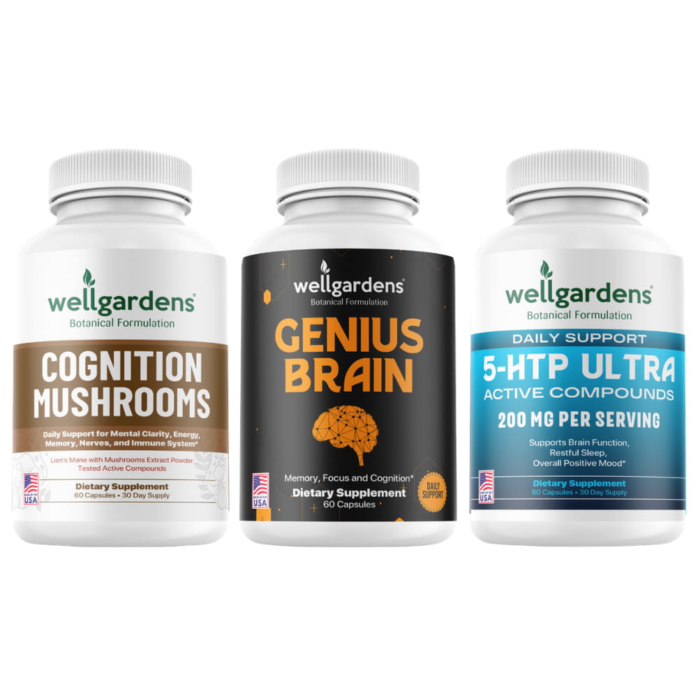 Brain & Focus Stack