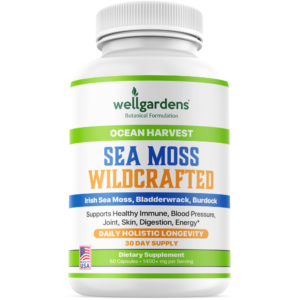 Sea Moss